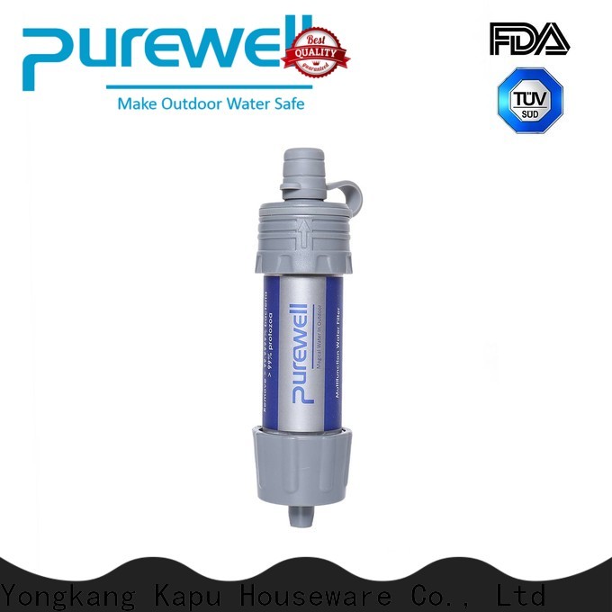 Purewell Customized portable water filter straw order now for traveling