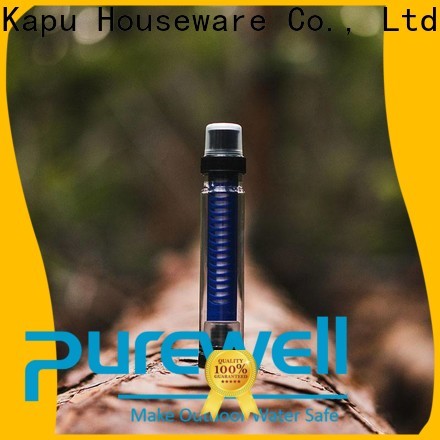 Purewell filter straws for drinking water factory price for camping