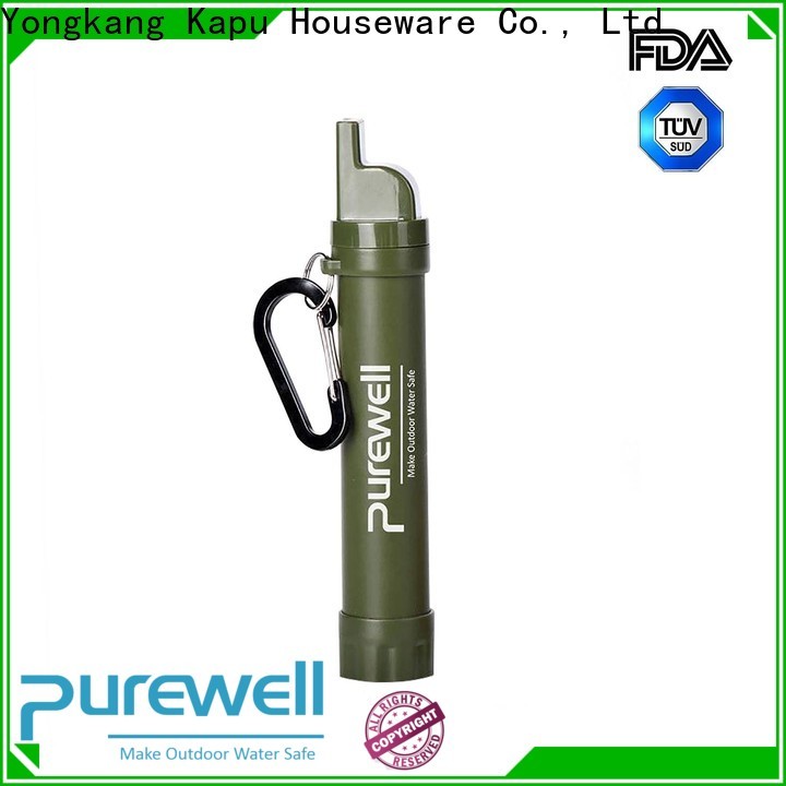 Purewell personal water filter straw factory price for camping