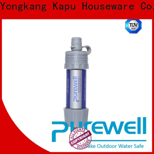 Purewell Customized straw filter factory price for camping