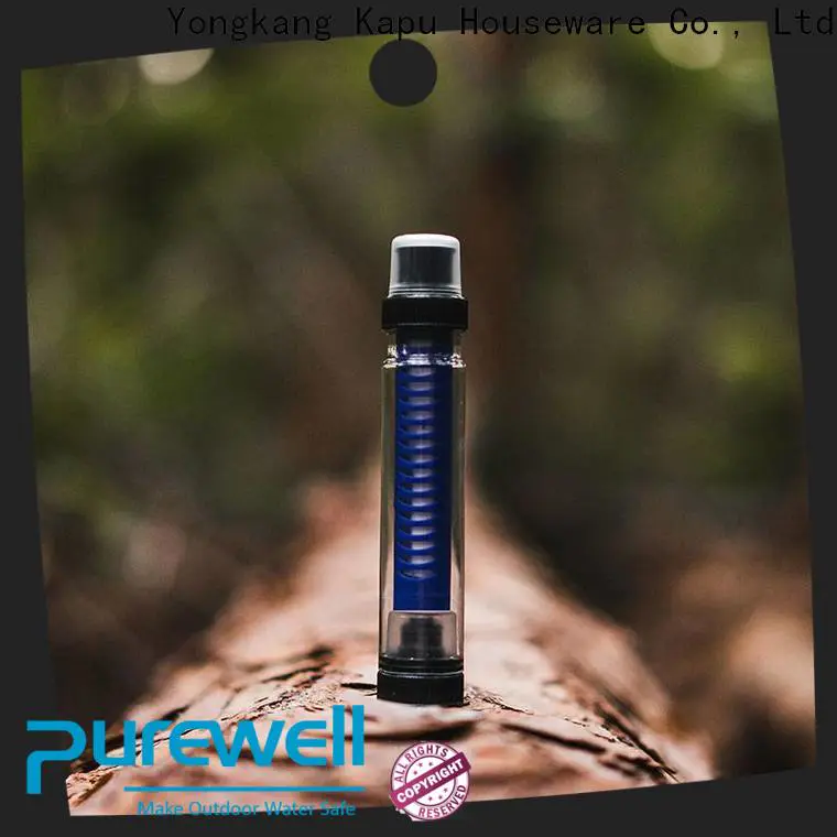 Purewell portable water filter straw factory price for traveling