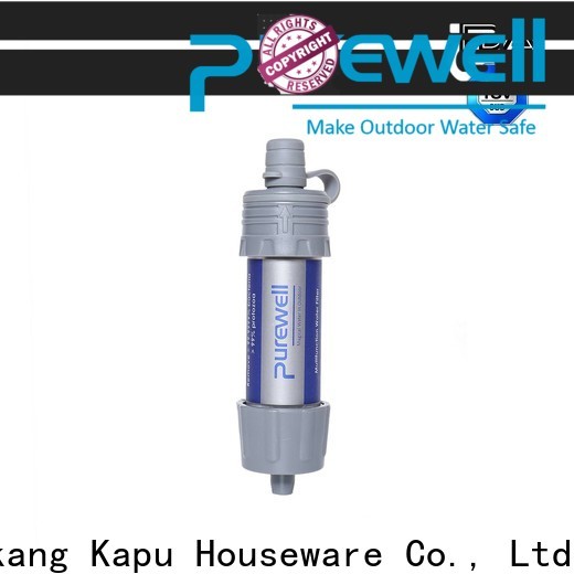Purewell water purification straw factory price for traveling