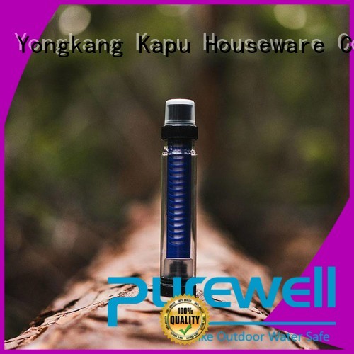 Purewell water filter straw factory price for camping