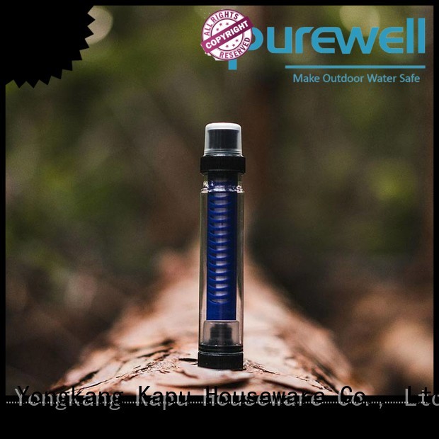 Purewell Customized water filter straw order now for traveling
