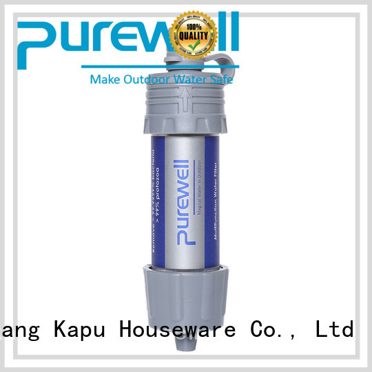 Purewell portable water filter straw factory price for camping